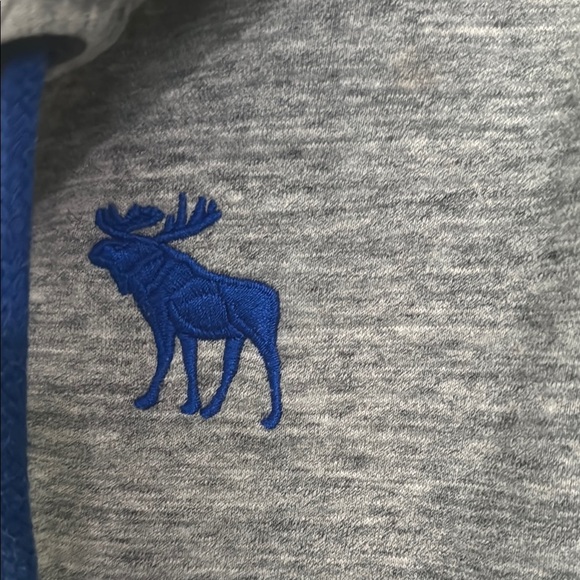Abercrombie & Fitch Muscle Gray and Blue Hooded Sweatshirt - Picture 4 of 11